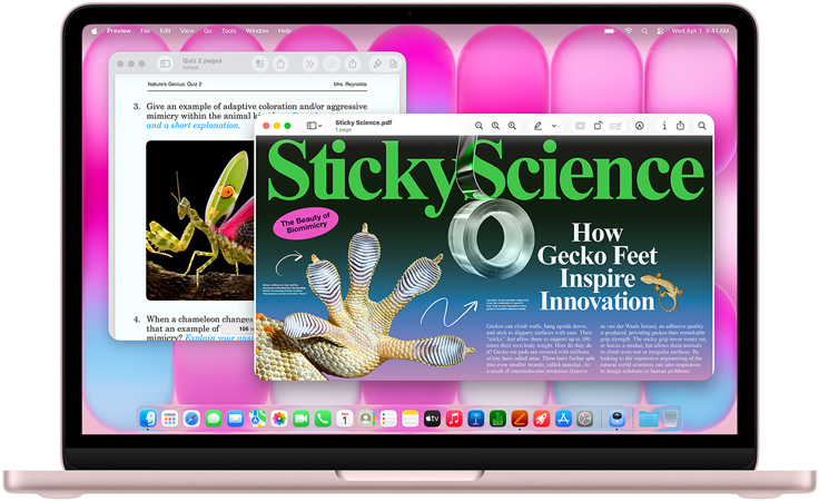 Rausvas „MacBook Neo“, ekrane rodomas straipsnis apie biomimikriją ir viktorina panašia tema