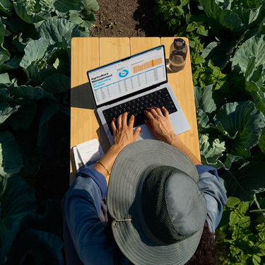 Bird's-eye view of a woman in a wide brim hat working on a business presentation on a MacBook, sitting at a table in a garden.